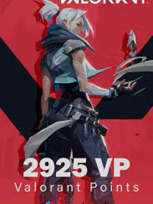 VALORANT 2925 VP