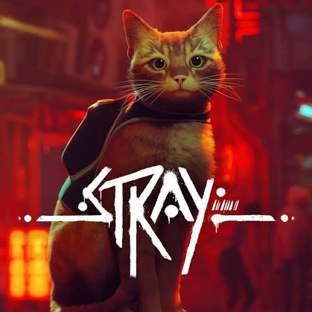 Stray PS4 PS5
